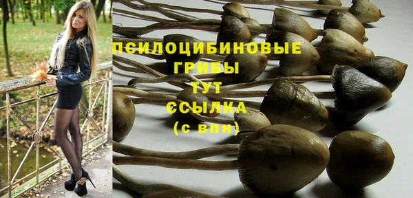 Альфа ПВП Алзамай