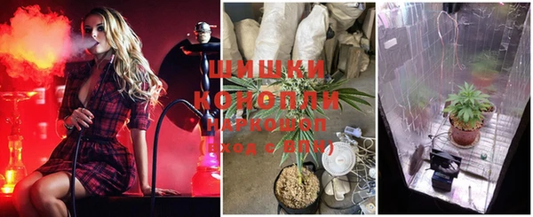 Альфа ПВП Алзамай