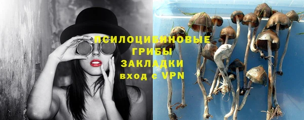 Альфа ПВП Алзамай