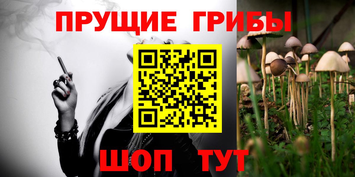 Псилоцибиновые грибы Magic Shrooms Глазов